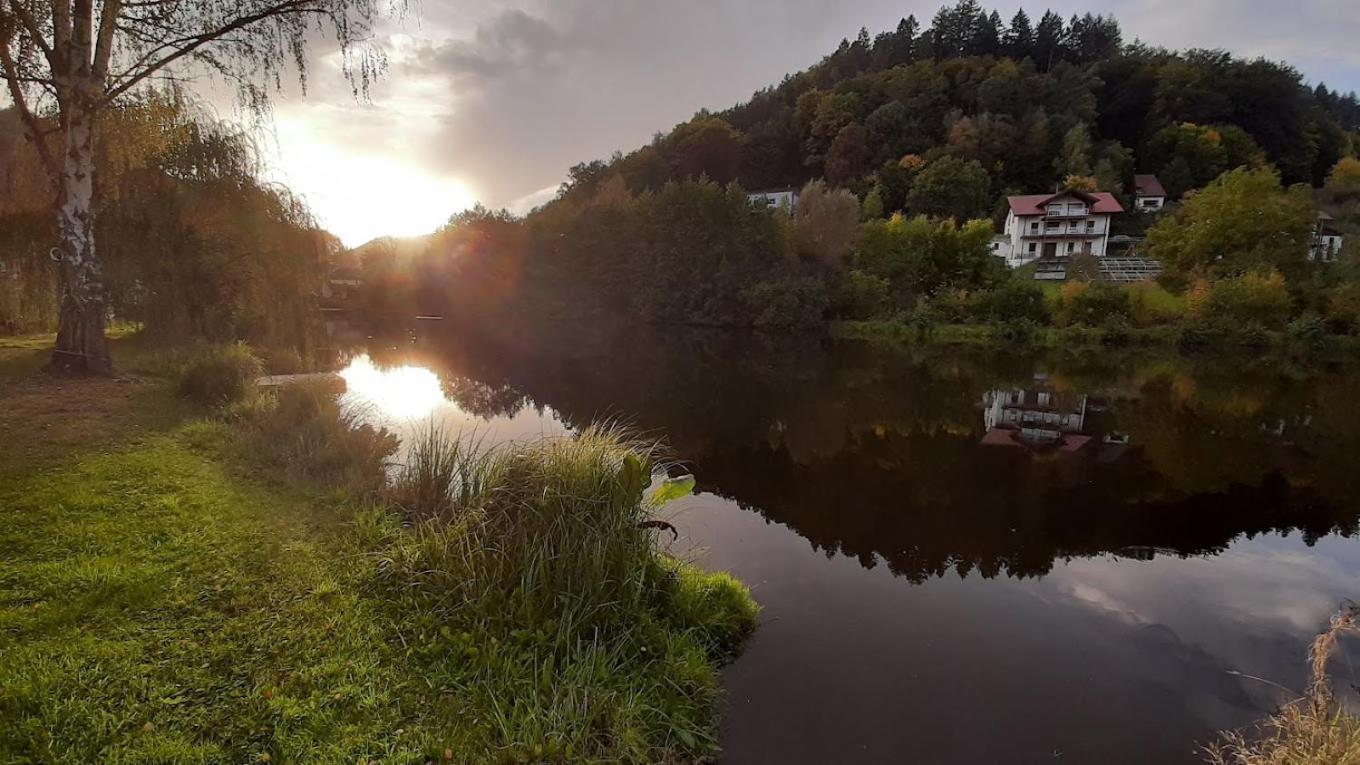Landhotel Zur Wegelnburg Schönau Esterno foto