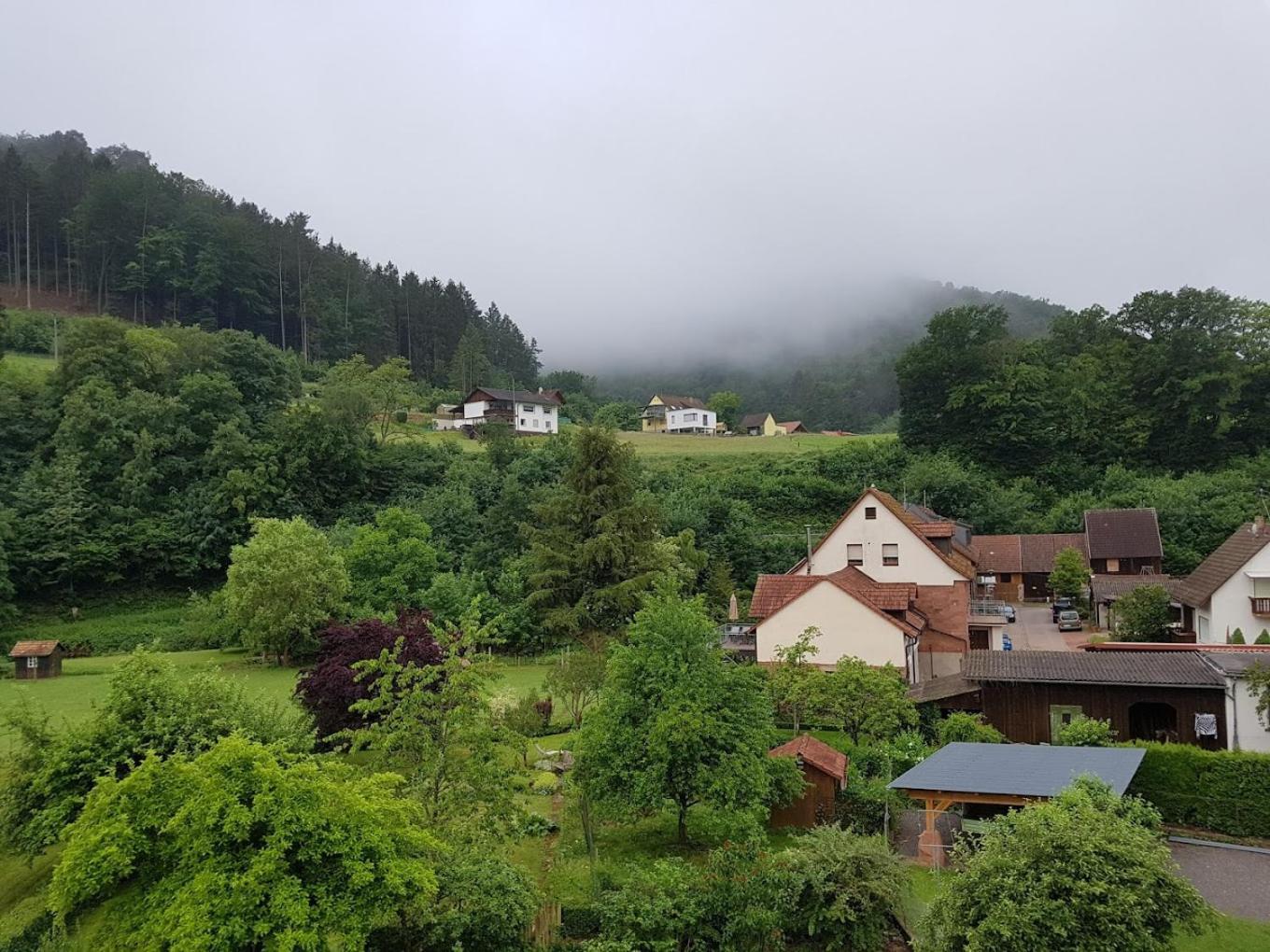 Landhotel Zur Wegelnburg Schönau Esterno foto