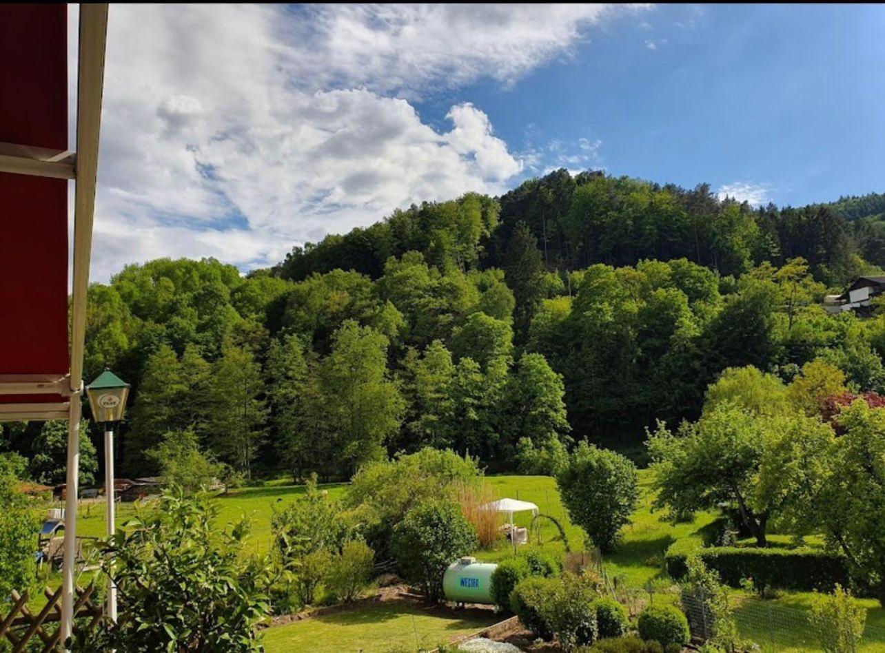 Landhotel Zur Wegelnburg Schönau Esterno foto